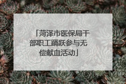 菏泽市医保局干部职工踊跃参与无偿献血活动