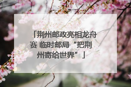 荆州邮政亮相龙舟赛 临时邮局“把荆州寄给世界”