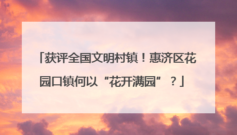 获评全国文明村镇！惠济区花园口镇何以“花开满园”？