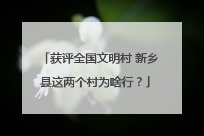 获评全国文明村 新乡县这两个村为啥行？