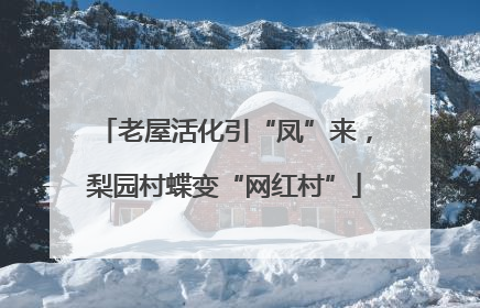 老屋活化引“凤”来，梨园村蝶变“网红村”