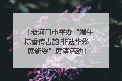 老河口市举办“端午粽香传古韵 非遗华彩展新姿”展演活动