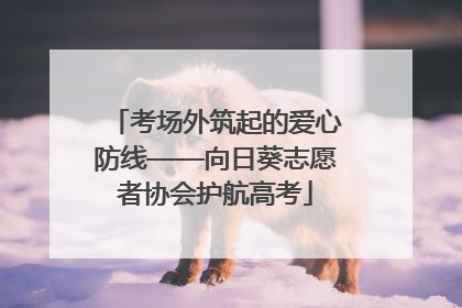 考场外筑起的爱心防线——向日葵志愿者协会护航高考