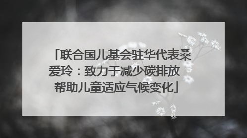 联合国儿基会驻华代表桑爱玲：致力于减少碳排放 帮助儿童适应气候变化
