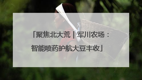 聚焦北大荒｜军川农场：智能喷药护航大豆丰收