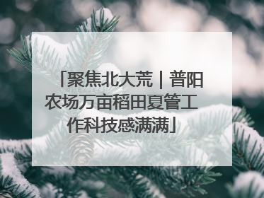 聚焦北大荒｜普阳农场万亩稻田夏管工作科技感满满