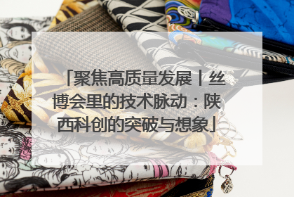 聚焦高质量发展丨丝博会里的技术脉动：陕西科创的突破与想象