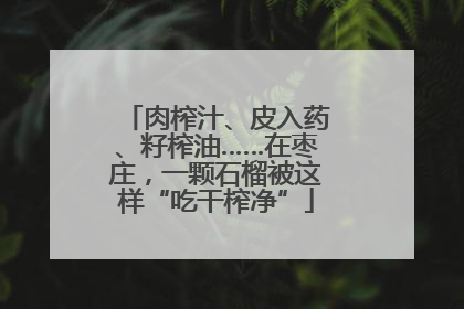 肉榨汁、皮入药、籽榨油……在枣庄，一颗石榴被这样“吃干榨净”