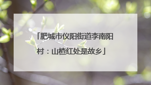 肥城市仪阳街道李南阳村：山楂红处是故乡