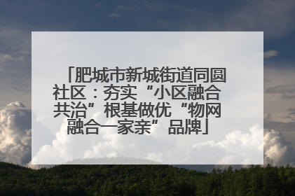 肥城市新城街道同圆社区：夯实“小区融合共治”根基做优“物网融合一家亲”品牌