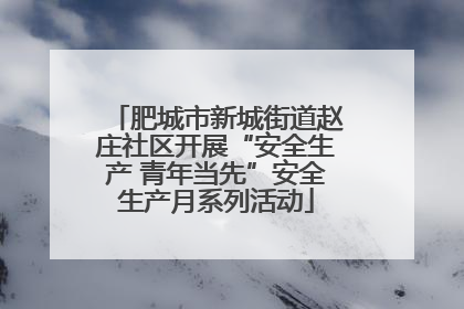 肥城市新城街道赵庄社区开展“安全生产 青年当先”安全生产月系列活动