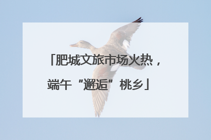 肥城文旅市场火热，端午“邂逅”桃乡