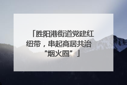 胜阳港街道党建红纽带，串起商居共治 “烟火圈”