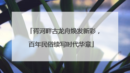 胥河畔古龙舟焕发新彩，百年民俗续写时代华章