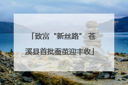 致富“新丝路” 苍溪县首批蚕茧迎丰收
