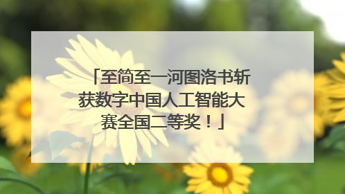 至简至一河图洛书斩获数字中国人工智能大赛全国二等奖！