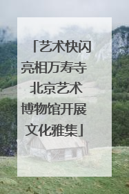 艺术快闪亮相万寿寺 北京艺术博物馆开展文化雅集