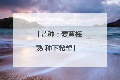芒种：麦黄梅熟 种下希望