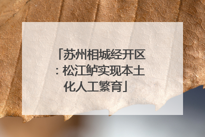 苏州相城经开区：松江鲈实现本土化人工繁育