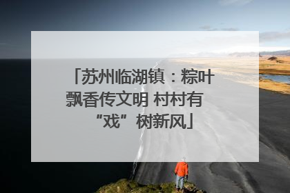 苏州临湖镇：粽叶飘香传文明 村村有“戏”树新风
