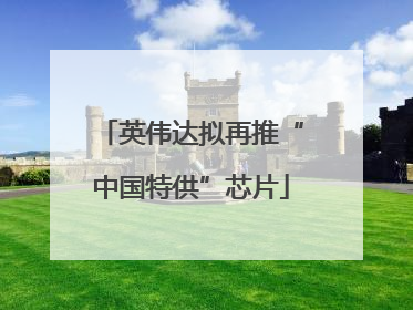 英伟达拟再推“中国特供”芯片