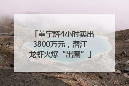 董宇辉4小时卖出3800万元，潜江龙虾火爆“出圈”