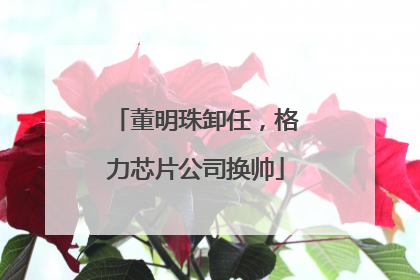 董明珠卸任，格力芯片公司换帅