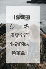 蒙娜丽莎：一场贯穿全产业链的绿色革命