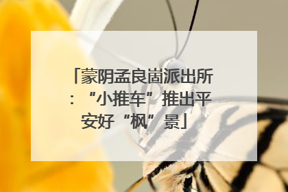 蒙阴孟良崮派出所：“小推车”推出平安好“枫”景