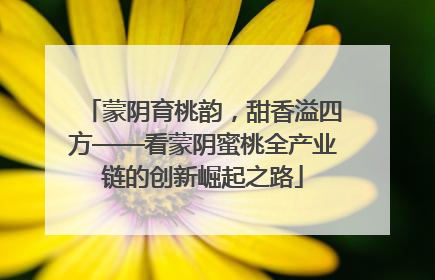 蒙阴育桃韵，甜香溢四方——看蒙阴蜜桃全产业链的创新崛起之路