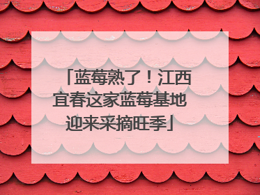 蓝莓熟了！江西宜春这家蓝莓基地迎来采摘旺季