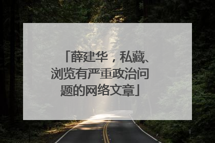 薛建华，私藏、浏览有严重政治问题的网络文章