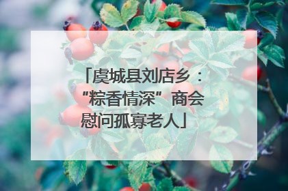 虞城县刘店乡：“粽香情深”商会慰问孤寡老人