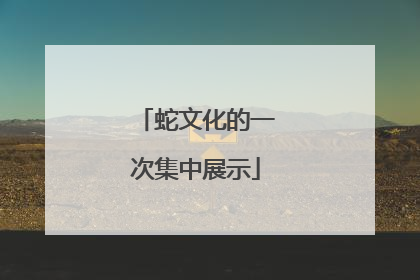 蛇文化的一次集中展示