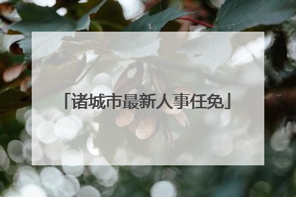 诸城市最新人事任免