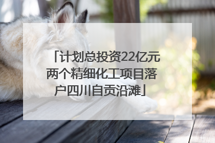 计划总投资22亿元 两个精细化工项目落户四川自贡沿滩