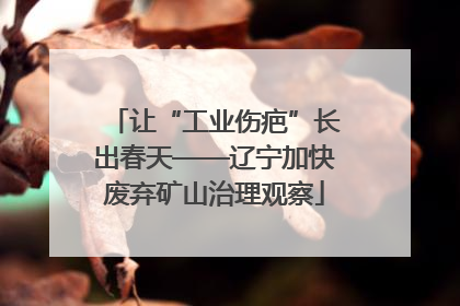 让“工业伤疤”长出春天——辽宁加快废弃矿山治理观察