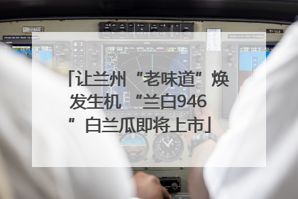 让兰州“老味道”焕发生机 “兰白946”白兰瓜即将上市