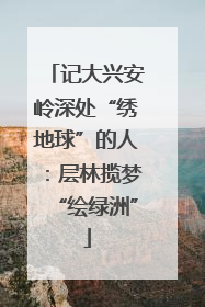 记大兴安岭深处“绣地球”的人：层林揽梦“绘绿洲”