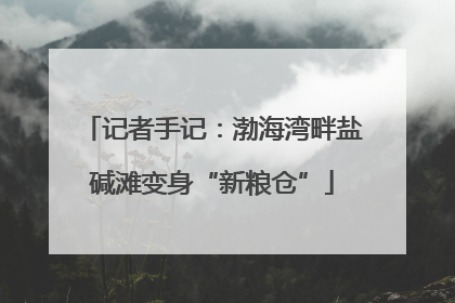 记者手记：渤海湾畔盐碱滩变身“新粮仓”