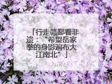 行走赣鄱看非遗：“希望岳家拳的身影遍布大江南北”