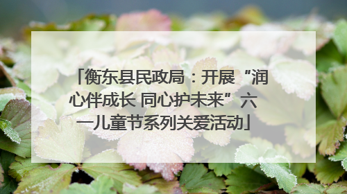 衡东县民政局：开展“润心伴成长 同心护未来”六一儿童节系列关爱活动