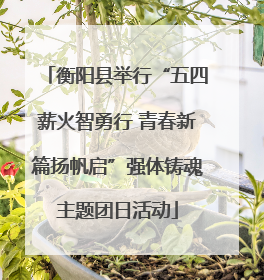 衡阳县举行“五四薪火智勇行 青春新篇扬帆启”强体铸魂主题团日活动