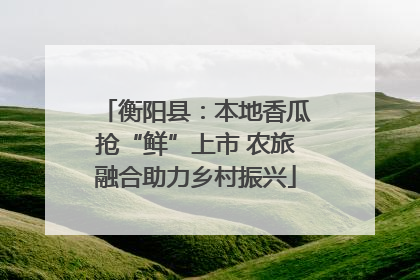 衡阳县：本地香瓜抢“鲜”上市 农旅融合助力乡村振兴