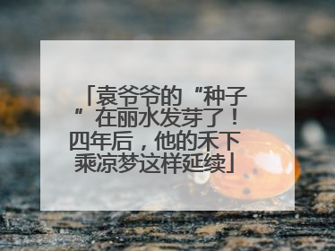 袁爷爷的“种子”在丽水发芽了！四年后，他的禾下乘凉梦这样延续