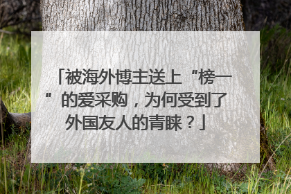 被海外博主送上“榜一”的爱采购，为何受到了外国友人的青睐？