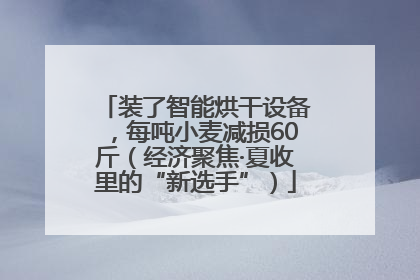 装了智能烘干设备，每吨小麦减损60斤（经济聚焦·夏收里的“新选手”）