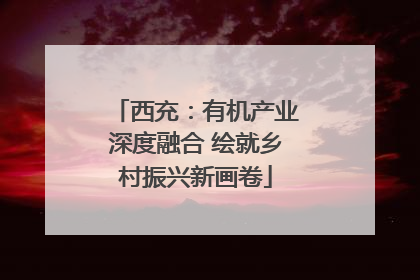 西充：有机产业深度融合 绘就乡村振兴新画卷