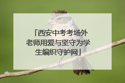 西安中考考场外 老师用爱与坚守为学生编织守护网