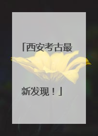 西安考古最新发现！
